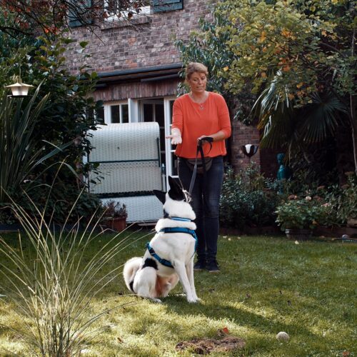 Frau und Hund in einem Garten. Eine zweite Frau steht daneben. Viele Pflanzen im Hintergrund.