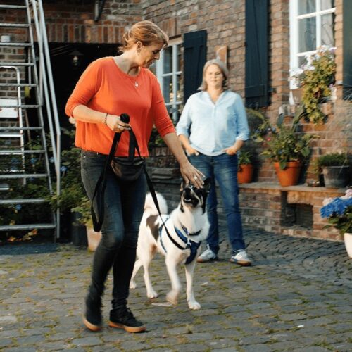 Frau mit Hund an der Leine in einem Hof. Hinter ihr eine weitere Frau und eine Backsteinmauer mit Pflanzen.