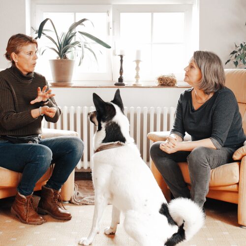 Zwei Frauen sitzen in einem Wohnzimmer und kommunizieren mit Gebärdensprache. Ein Hund sitzt dazwischen.