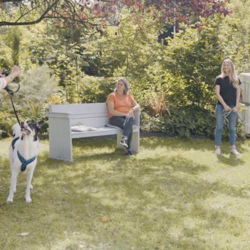 Eine Person mit Hund steht, während zwei weitere Personen abseits auf einer Bank im Garten sitzen.