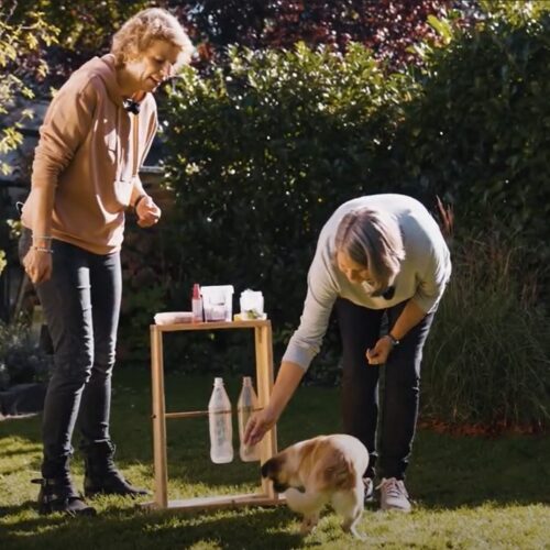 Zwei Personen stehen im Garten, eine Person streichelt einen kleinen Hund.