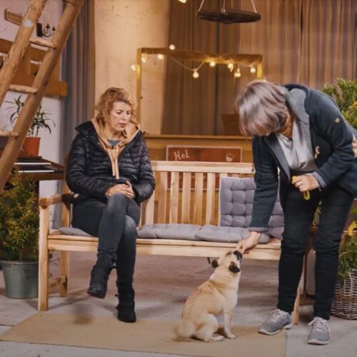 Eine Frau sitzt auf einer Holzbank, eine andere füttert einen kleinen Hund. Es gibt Pflanzen und Dekorationen.