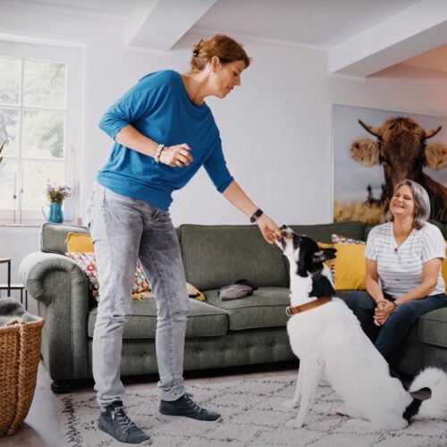 Eine Person füttert einen Hund, eine andere sitzt auf einem Sofa. Wohnzimmer mit Pflanzen und Dekoration.