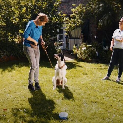 Person trainiert einen Hund an der Leine im Garten, eine andere Person schaut zu.
