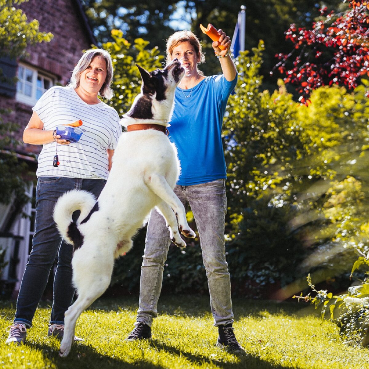 Zwei Personen spielen mit einem springenden Hund im Garten, umgeben von Bäumen und Sträuchern.