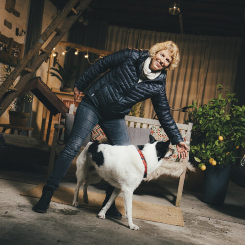 Person in Winterjacke spielt mit einem Hund in einem gemütlichen, beleuchteten Innenraum.