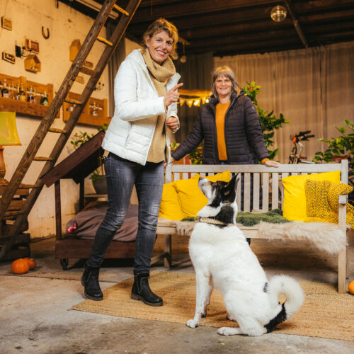 Zwei Frauen mit Hund in einer gemütlichen, herbstlich dekorierten Scheune mit Leiter, Bank und Kürbissen.