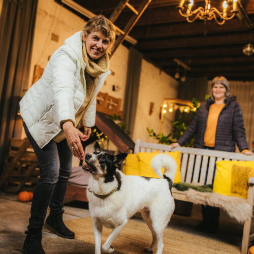 Eine Frau streichelt einen Hund in einem gemütlichen Raum mit einer anderen Frau auf einer Bank.