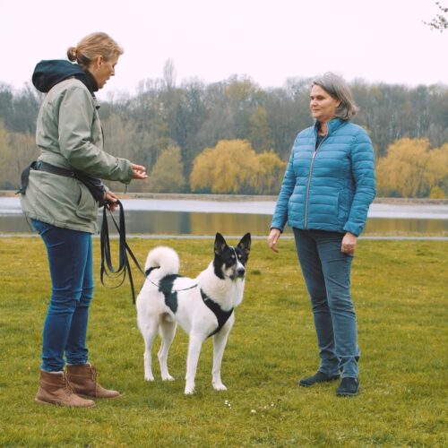 Zwei Personen und ein Hund stehen auf einer Wiese am Seeufer mit Bäumen im Hintergrund.