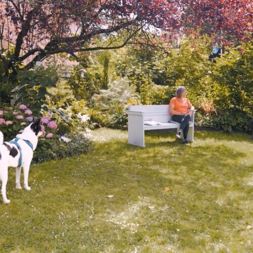 Personen mit Hunden im Garten. Ein Mensch sitzt auf einer Bank unter einem Baum. Haus im Hintergrund.