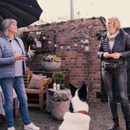 Zwei Personen und ein Hund im Innenhof. Eine Person spricht, die andere hält etwas in den Händen. Pflanzen im Hintergrund.