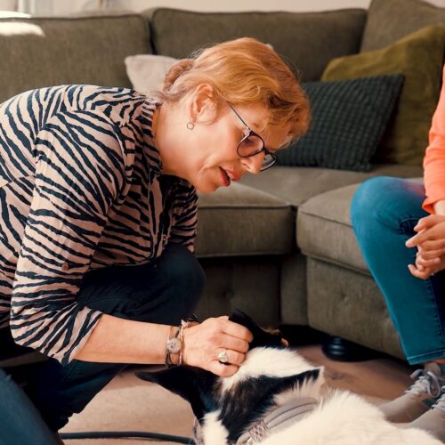 Eine Person streichelt einen schwarz-weißen Hund vor einem Sofa, eine andere Person sitzt daneben.